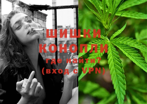 шишки Ладушкин