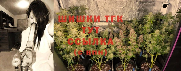 шишки Ладушкин