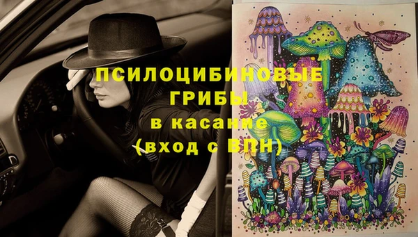 первитин Лабытнанги