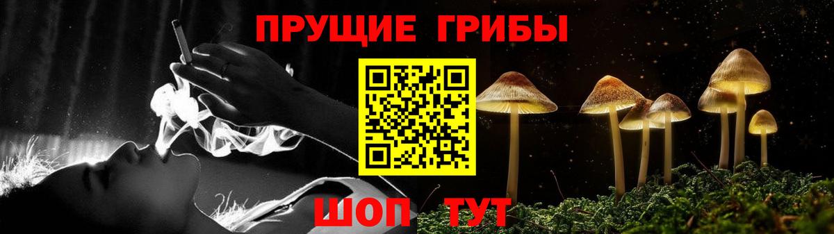 Галлюциногенные грибы Psilocybine cubensis  Белая Калитва 